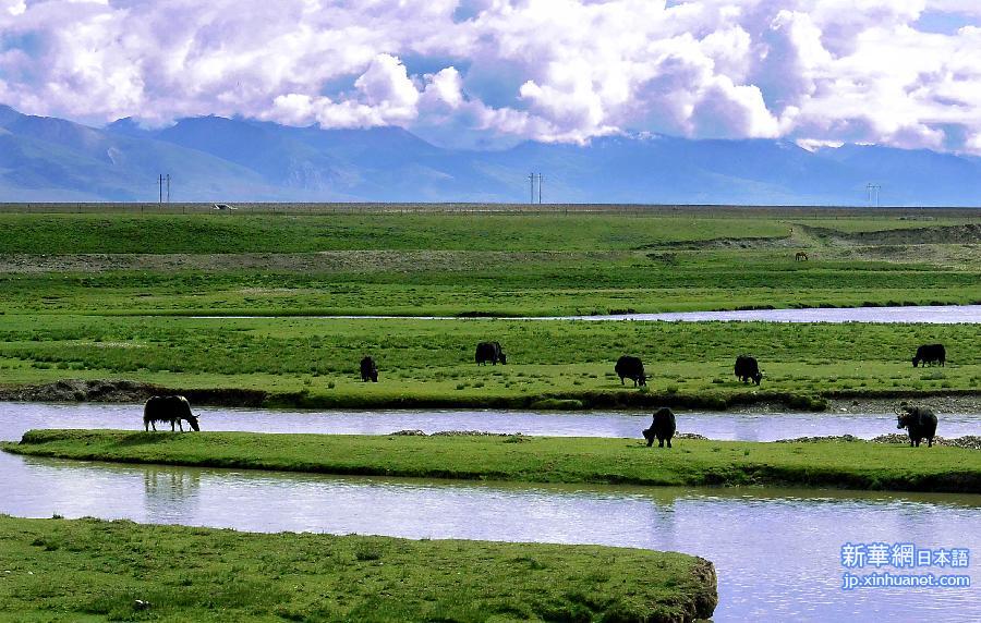 （生态）（1）西藏：高原生态系统总体趋好