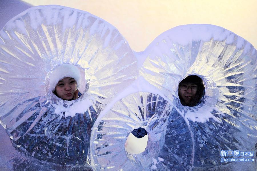 （社会）（7）“流光溢彩”冰雪童话世界——第31届哈尔滨国际冰雪节开幕