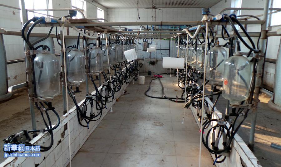 （社会）（1）伤心的&ldquo;牛奶&rdquo;