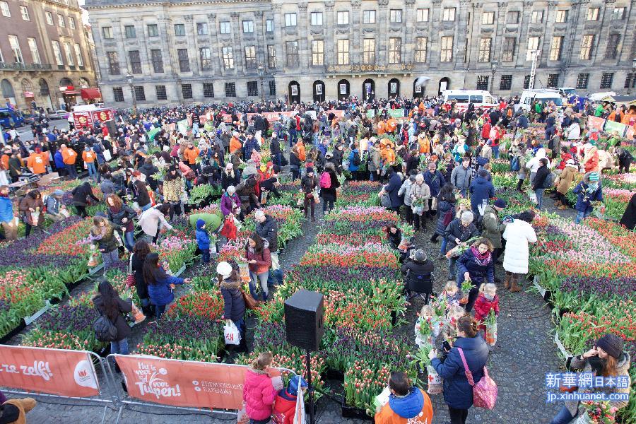 （国际）（1）荷兰举办第四届郁金香节