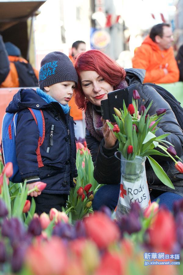（国际）（3）荷兰举办第四届郁金香节