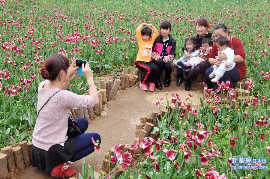 #（社会）（3）踏青赏花迎新春