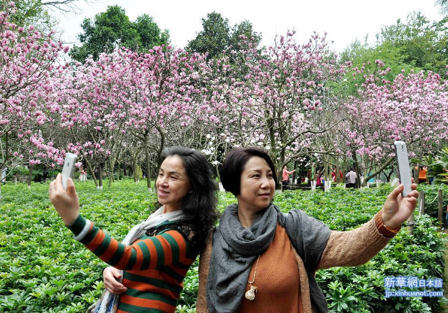 #（社会）（5）踏青赏花迎新春