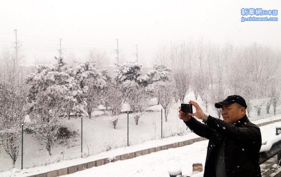 （生态）京城喜降瑞雪