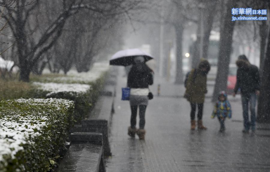 （生态）（2）京城喜降瑞雪