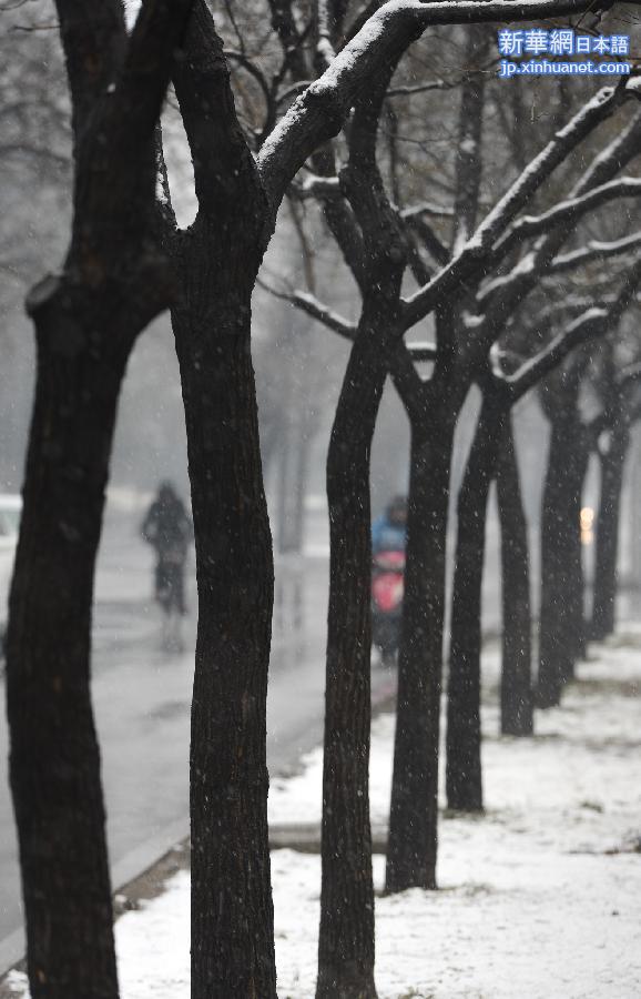 （生态）（3）京城喜降瑞雪