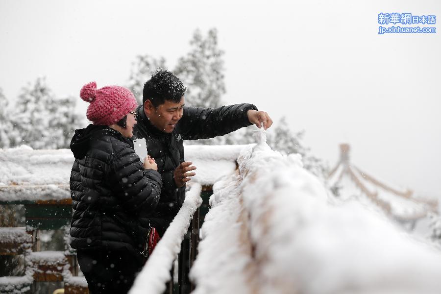 （生态）（8）京城喜降瑞雪