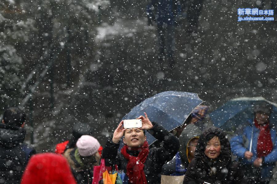 （生态）（10）京城喜降瑞雪