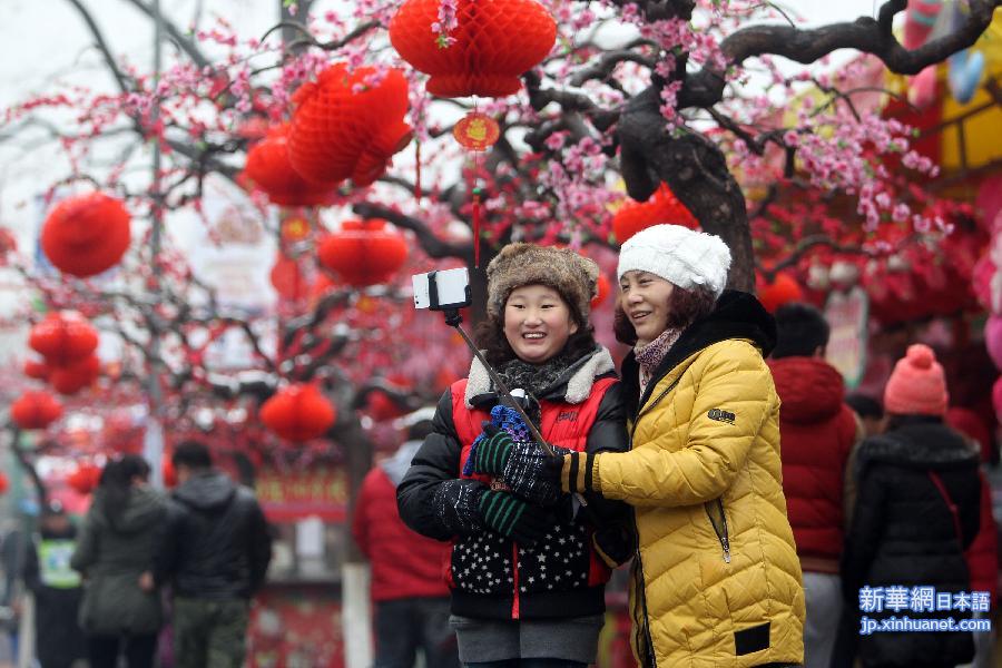 #（社会）（4）逛庙会 过大年