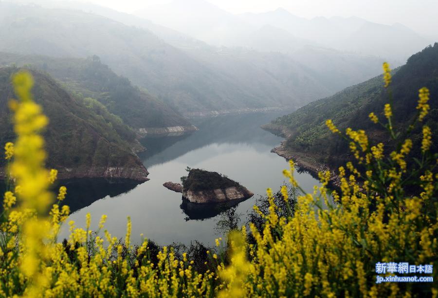 #（晚报）（2）三峡“巨龟出水”景观独特