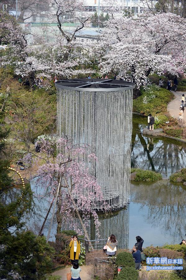 （国际）（5）东京：樱花盛开