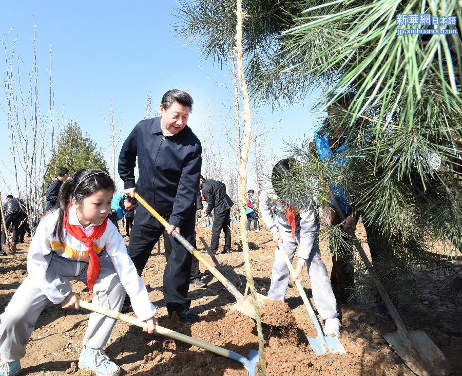 （时政）（2）党和国家领导人参加首都义务植树活动