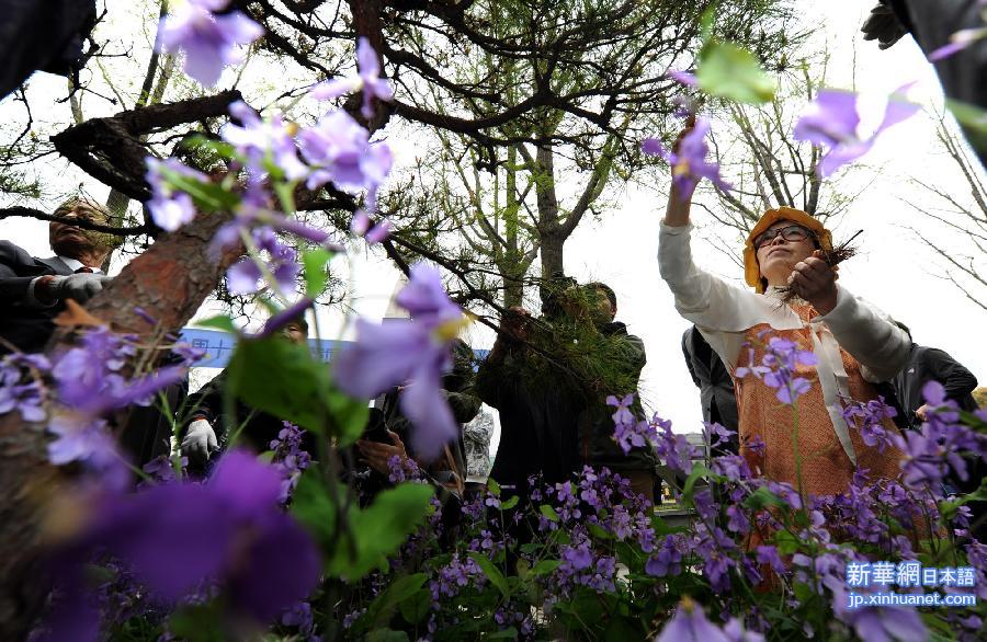 （城乡热点）（2）日本植树访华团持续30年悼念南京大屠杀遇难者