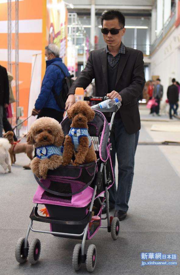 （社会）（3） 2015中国（北京）宠物文化节在京开幕