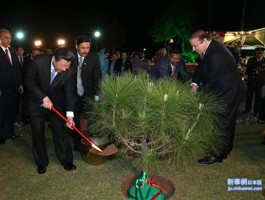 （时政）习近平与巴基斯坦总理谢里夫种植友谊树 