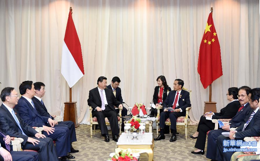 （时政）习近平会见印度尼西亚总统佐科