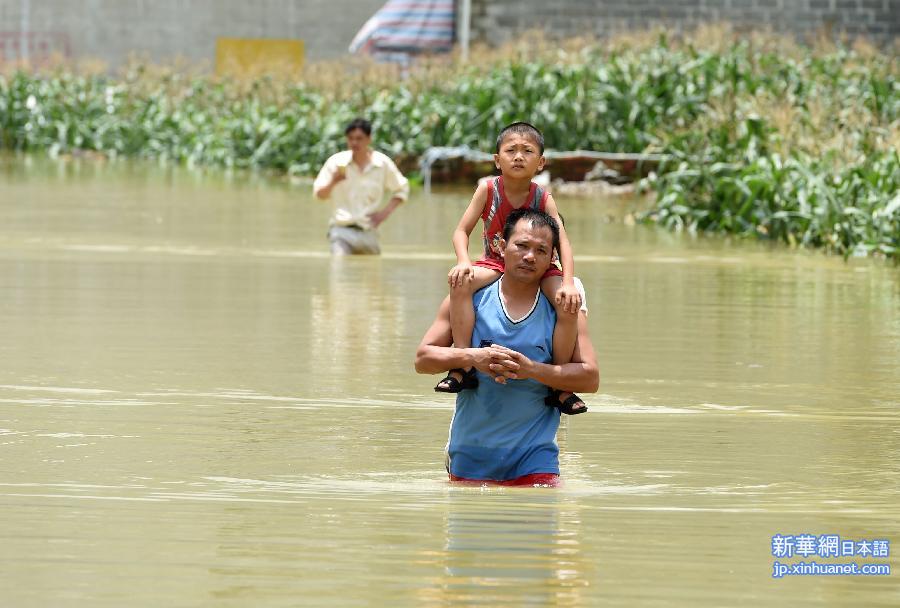（生态）（1）广西洪涝灾害致78.89万人受灾  8人死亡
