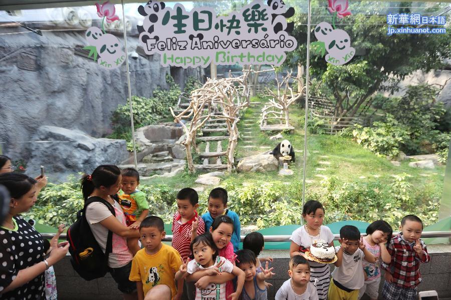 （社会）（1）中央赠澳门大熊猫“心心”迎八岁生日
