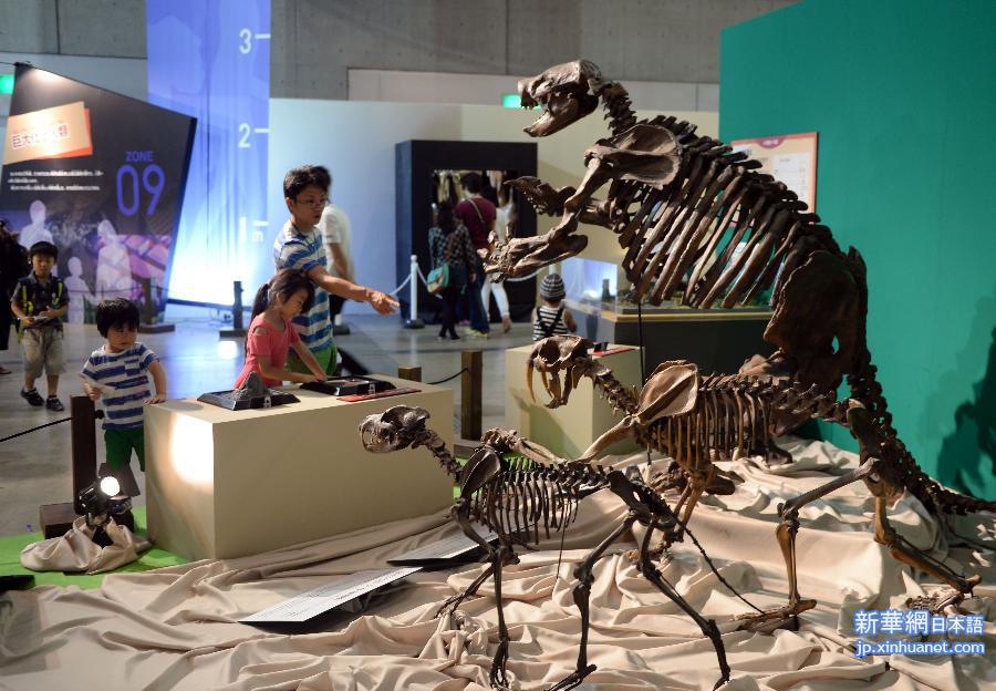 （国际）（2）“2015恐龙展——逼近巨大之谜”在日本开幕