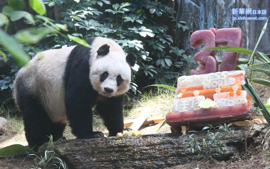 （社会）（1）香港：大熊猫佳佳刷新最长寿圈养大熊猫世界纪录 
