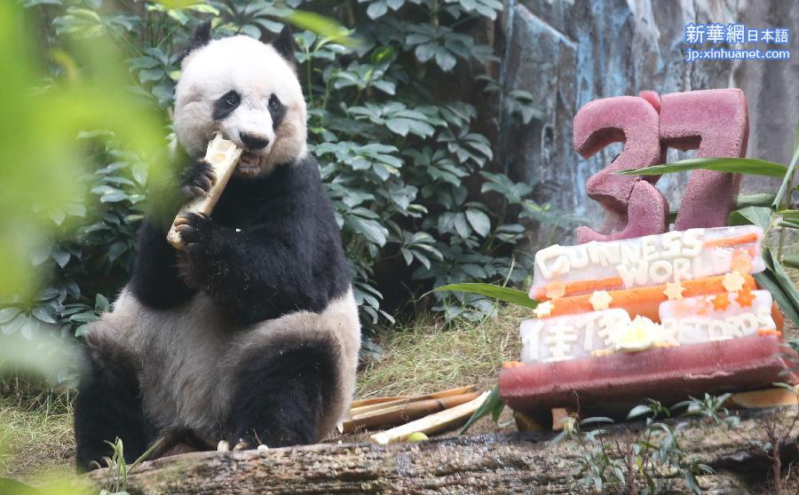 （社会）（2）香港：大熊猫佳佳刷新最长寿圈养大熊猫世界纪录 
