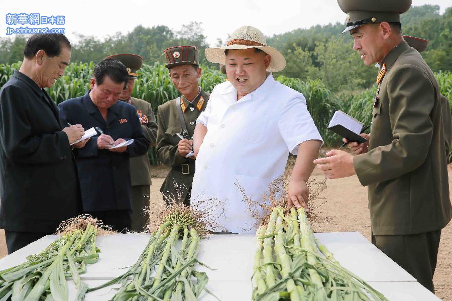 （国际）（1）金正恩视察朝鲜人民军所属1116号农场