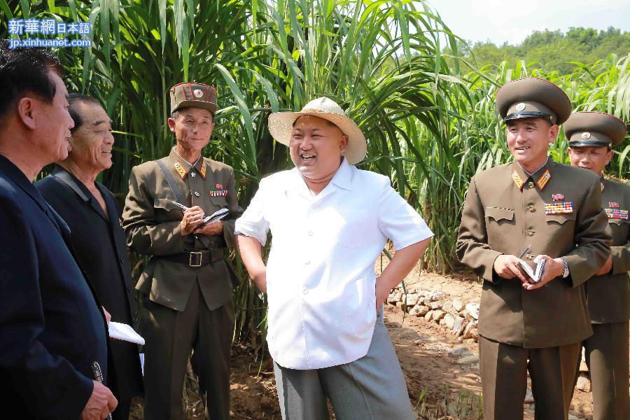 （国际）（3）金正恩视察朝鲜人民军所属1116号农场