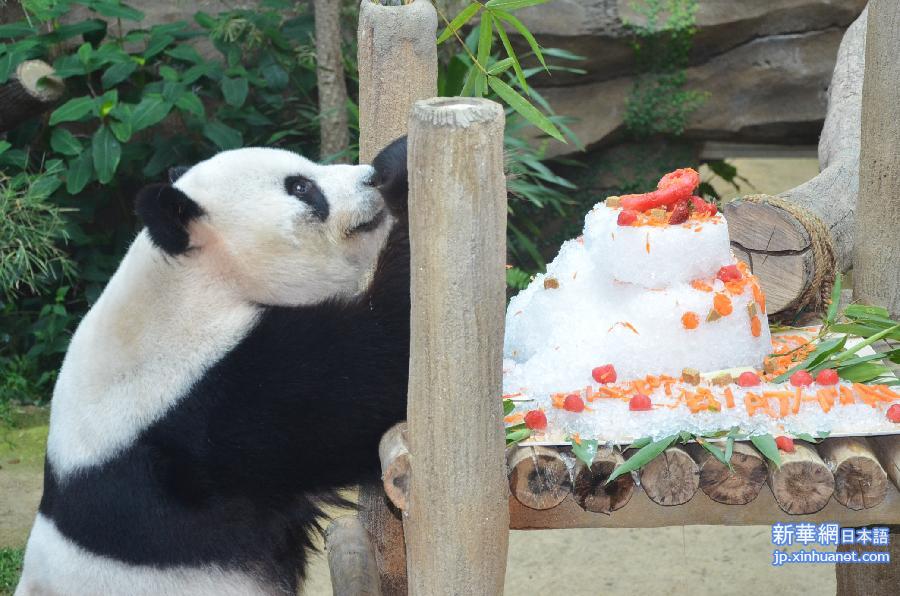 （晚报）（1）马来西亚为中国大熊猫庆祝9岁生日