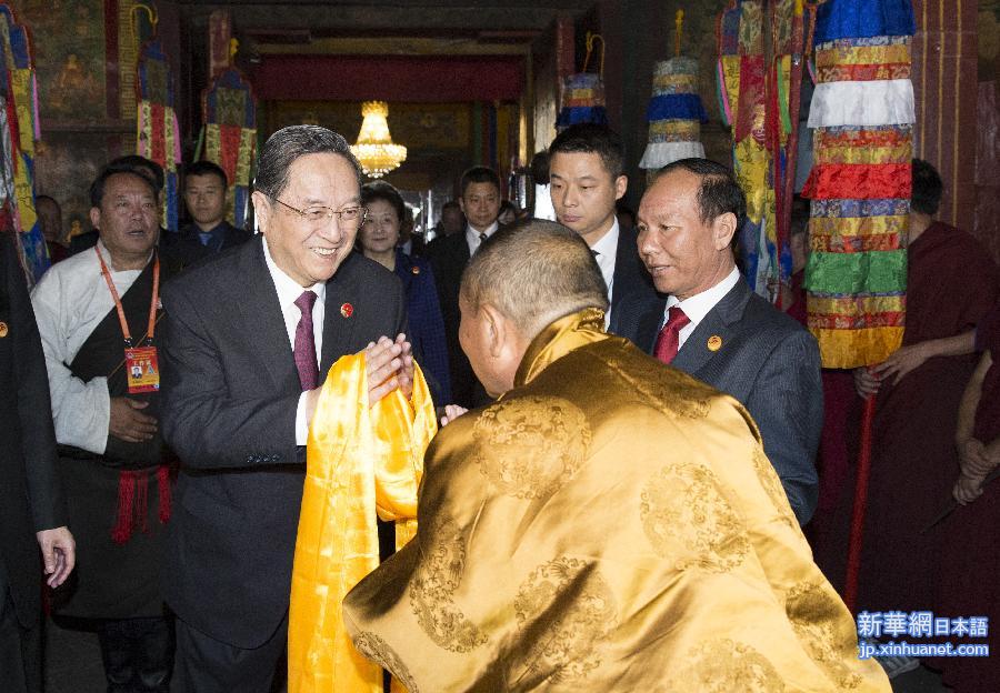 （时政）（3）俞正声看望慰问西藏宗教界爱国人士