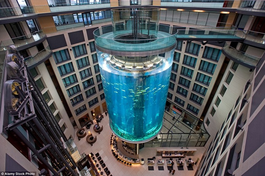 有景致的酒店房间：令人着迷的AquaDom位于雷迪森布鲁酒店大厅，拥有1000立方米（1百万升）， 约25米（82英尺）高，，据称是世界上最大的圆筒形储罐。