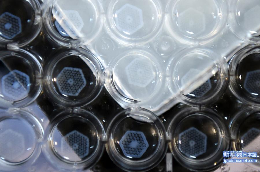 （城乡热点）（2）中国科学家实现肝单元生物3D批量打印