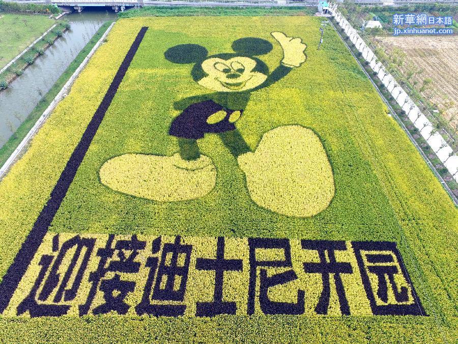 #（社会）（1）“米老鼠”稻田画迎接迪士尼落户上海
