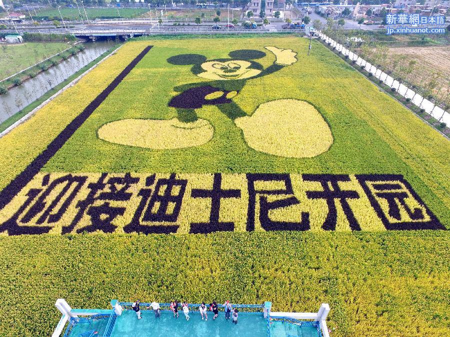 #（社会）（2）“米老鼠”稻田画迎接迪士尼落户上海