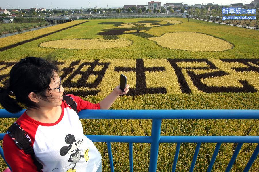 #（社会）（3）“米老鼠”稻田画迎接迪士尼落户上海
