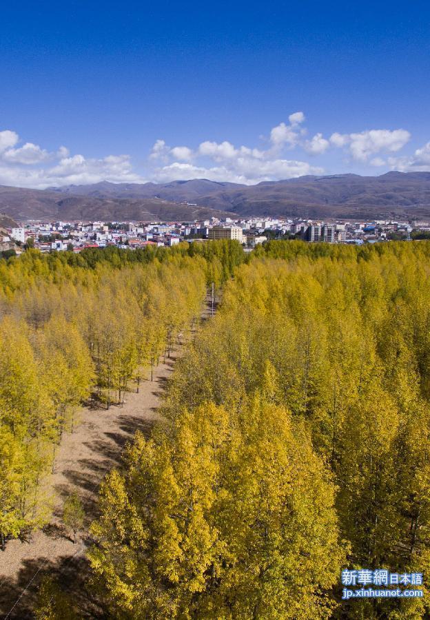 （美丽中国）（4）四川：雅砻湿地成317国道一道靓丽风景