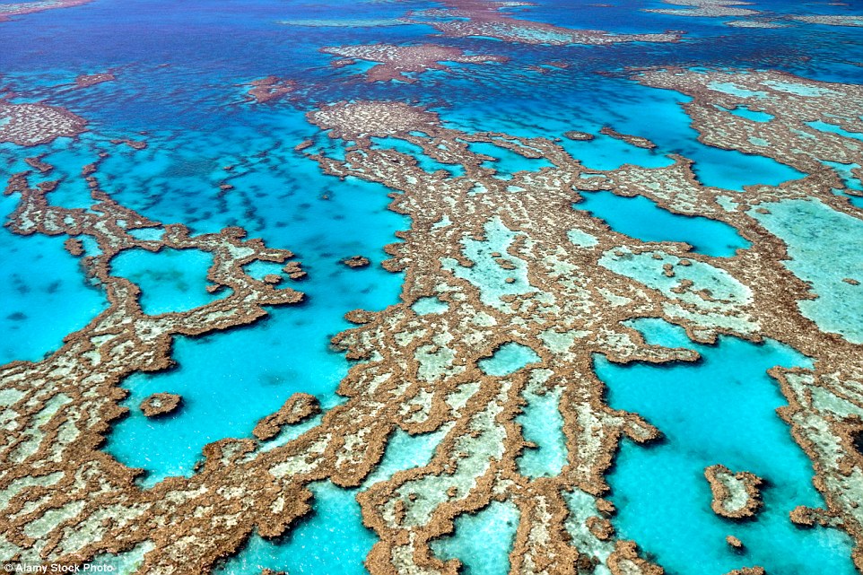 澳大利亚：大堡礁（Great Barrier Reef）<br />这可能是世界上绵延最长的珊瑚礁，居住着1500来种鱼类和175来种鸟类，然而珊瑚礁正在遭遇破坏，科学家称可能会在2050年彻底消失。