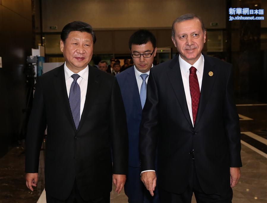 （XHDW）（2）习近平会见土耳其总统埃尔多安