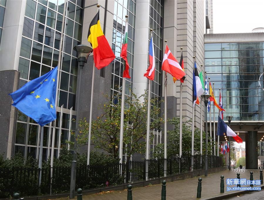 （XHDW）欧洲议会降半旗悼念巴黎袭击遇难者