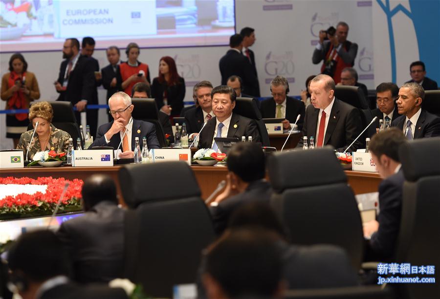 （XHDW）习近平出席二十国集团领导人第十次峰会第一阶段会议