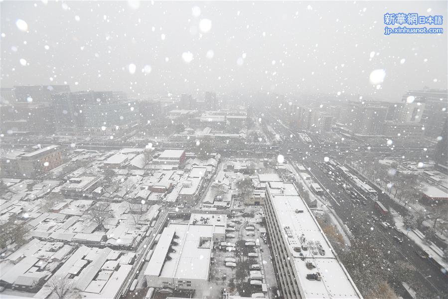 （生态）（1）北京：“小雪”节气雪不小