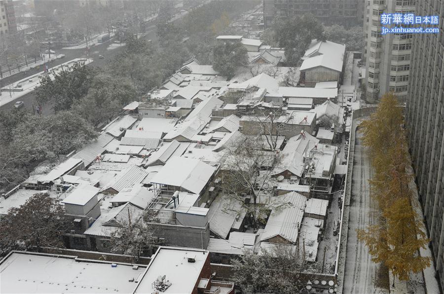 （生态）（3）北京：“小雪”节气雪不小