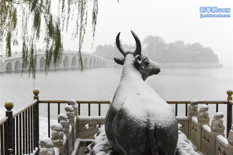 （生态）（6）北京：“小雪”节气雪不小 