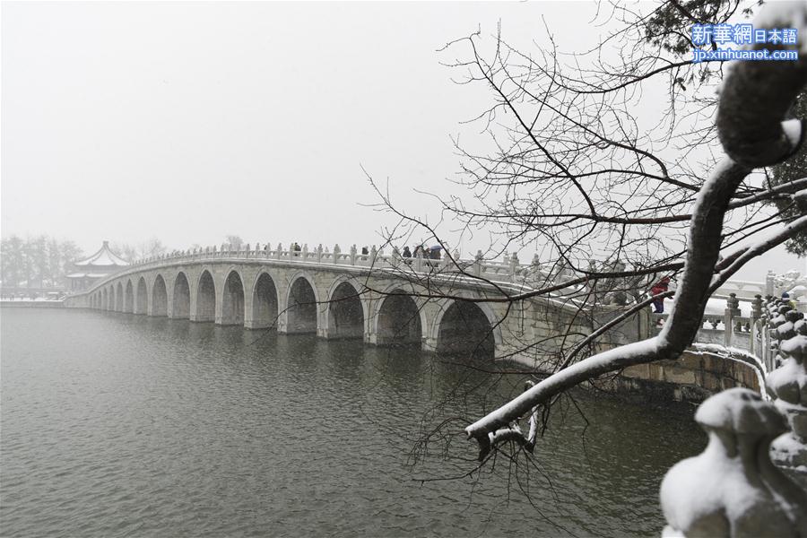 （生态）（11）北京：“小雪”节气雪不小 