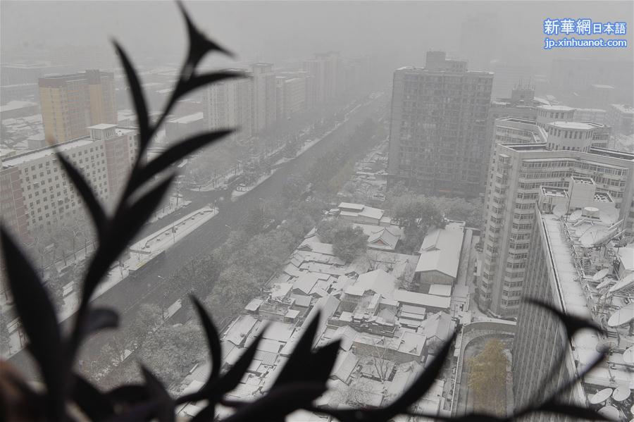（晚报）（2）北京：“小雪”节气雪不小