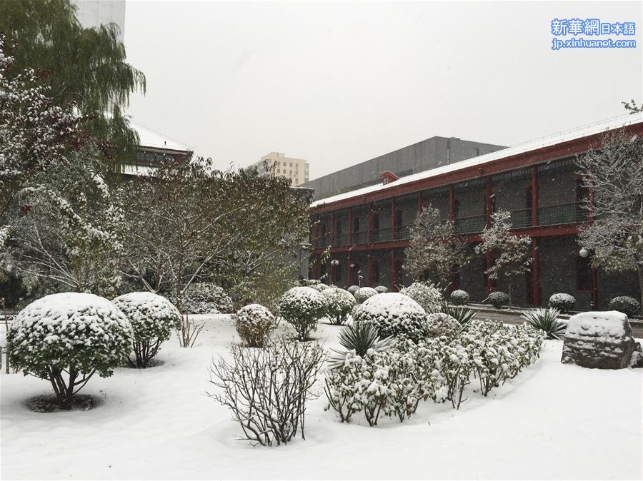 （晚报）（3）北京：“小雪”节气雪不小