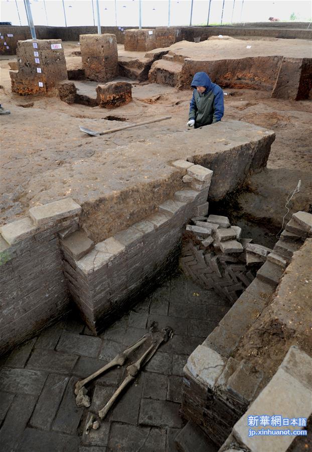 （文化）（1）考古确认陕西龙岗寺遗址100万年前就有人类活动 