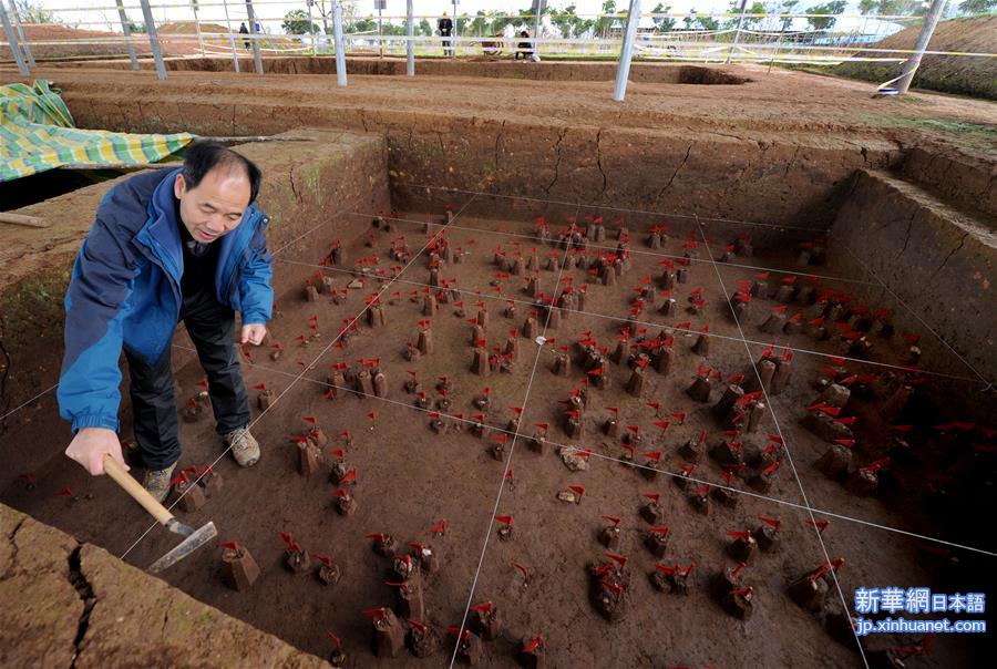 （文化）（5）考古确认陕西龙岗寺遗址100万年前就有人类活动 