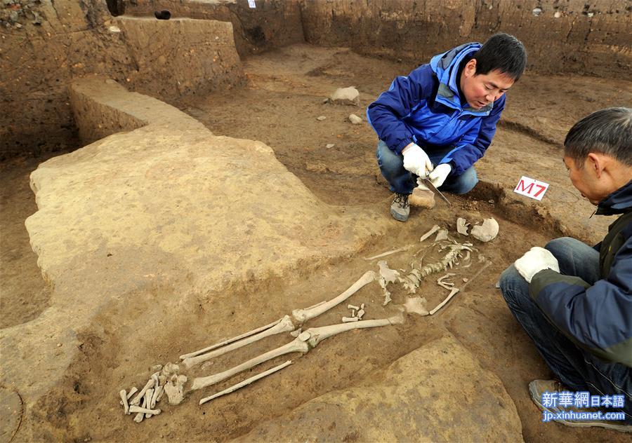 （文化）（6）考古确认陕西龙岗寺遗址100万年前就有人类活动 