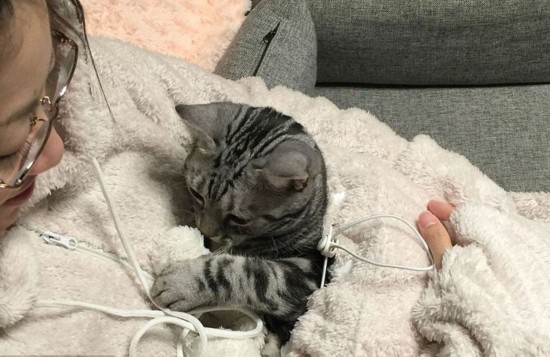 猫奴福利：日本公司设计人猫连体睡衣【3】