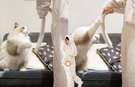猫奴福利：日本公司设计人猫连体睡衣【7】